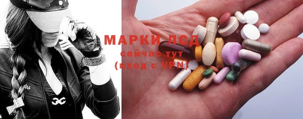 гашик Елизово