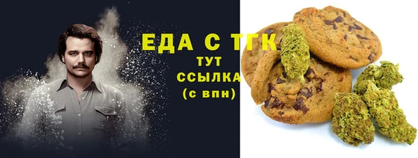 гашик Елизово