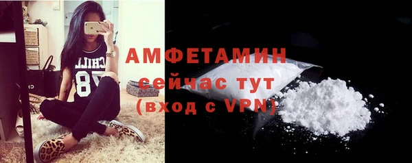 стафф Ельня