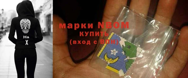стафф Ельня