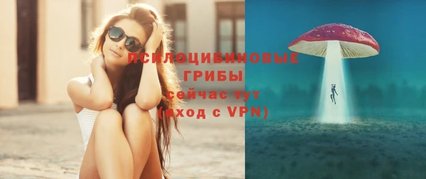 стафф Ельня