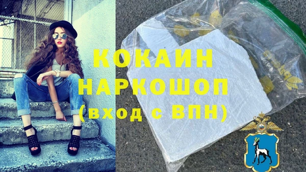 стафф Ельня