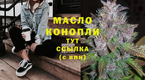 стафф Ельня