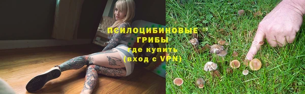стафф Ельня