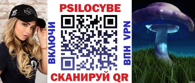 Псилоцибиновые грибы Psilocybine cubensis  Купить закладки  Ипатово 